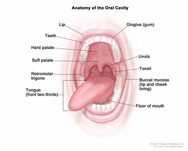 Childhood Oral Cavity Cancer Treatment Pdq Treatment