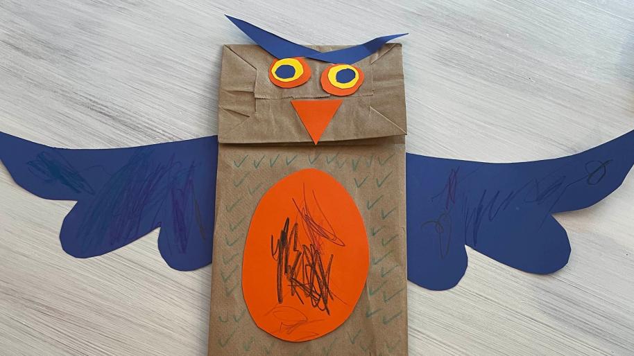 Owl sale lunch bag