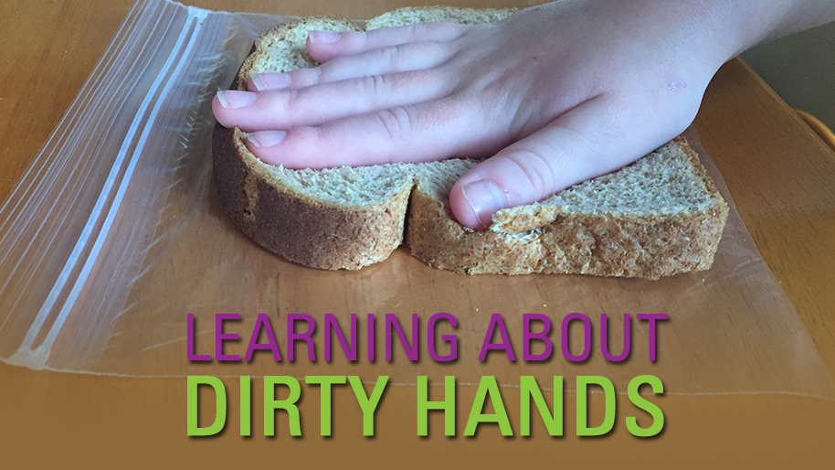 Bread Mold Experiment - Little Bins for Little Hands